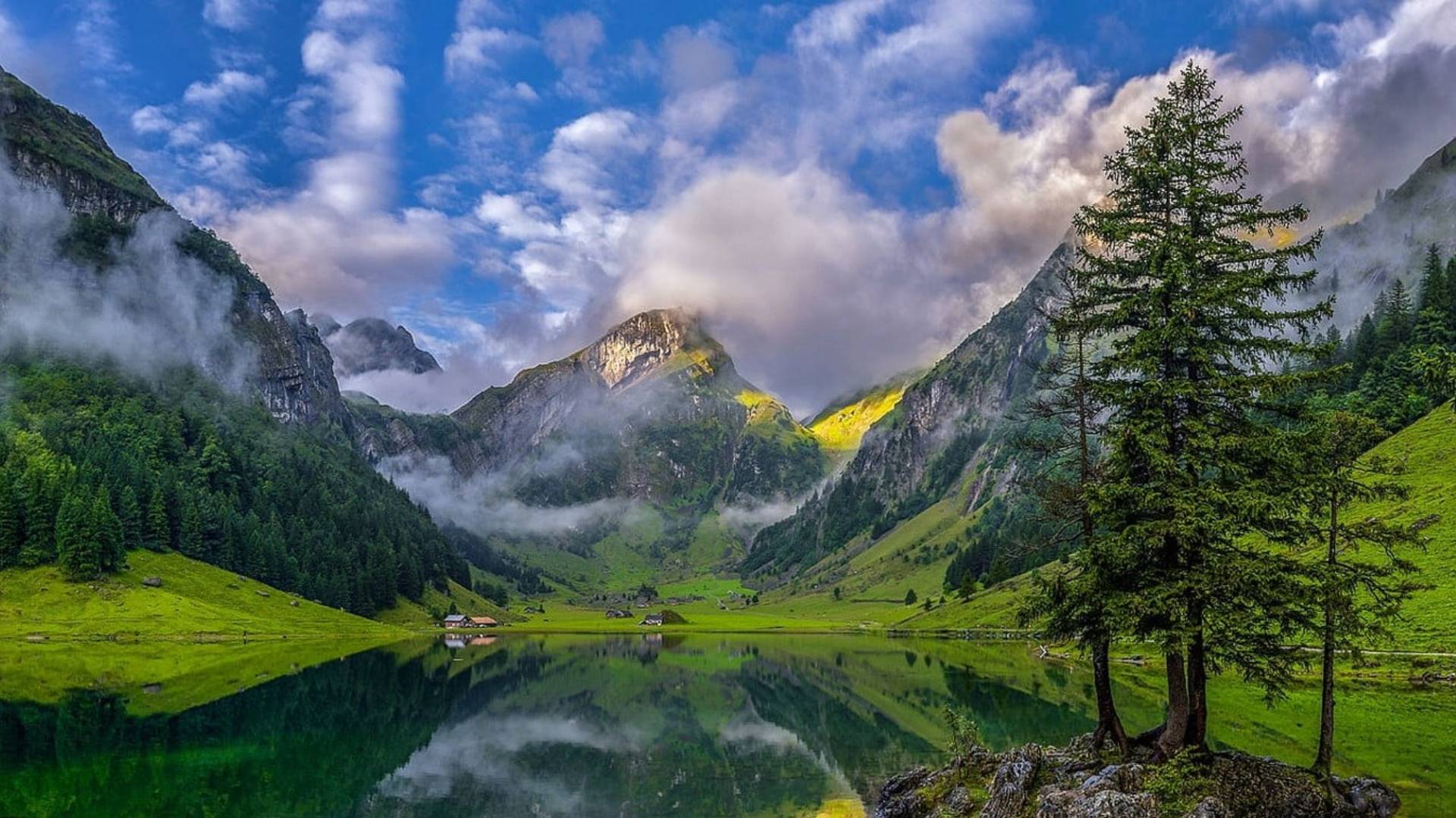 vitamine exploreaza natura sanatatea plafar vitamine exploreaza natura sanatatea plafar