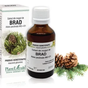 BRAD - Extract din muguri de Brad - Abies pectinata