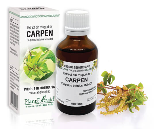 CARPEN - Extract din muguri de Carpen - Carpinus betulus MG=D1