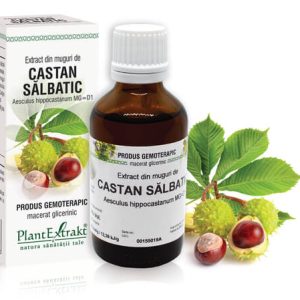 CASTAN SĂLBATIC - Extract din muguri de Castan sălbatic - Aesculus hippocastanum MG=D1