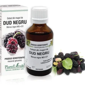 DUD NEGRU - Extract din muguri de Dud negru - Morus nigra MG=D1