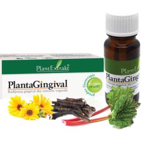 Plantagingival