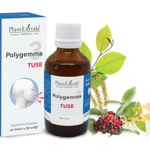Polygemma 3 - Tuse
