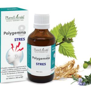 Polygemma 8 - Stres