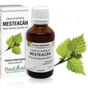 MESTEACĂN - Extract din seminţe de Mesteacăn - Betula verrucosa semi MG=D1