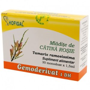 Mladite de catina rosie - Gemoderivat