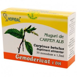 Muguri de carpen alb  - Gemoderivat