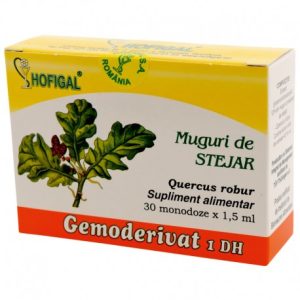 Muguri de stejar - Gemoderivat
